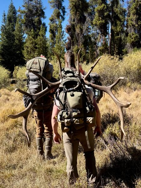 Colorado Elk Hunting - When to hunt in Archery Season