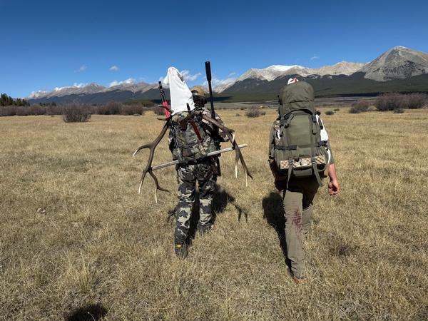 Applying for your Colorado Hunting License