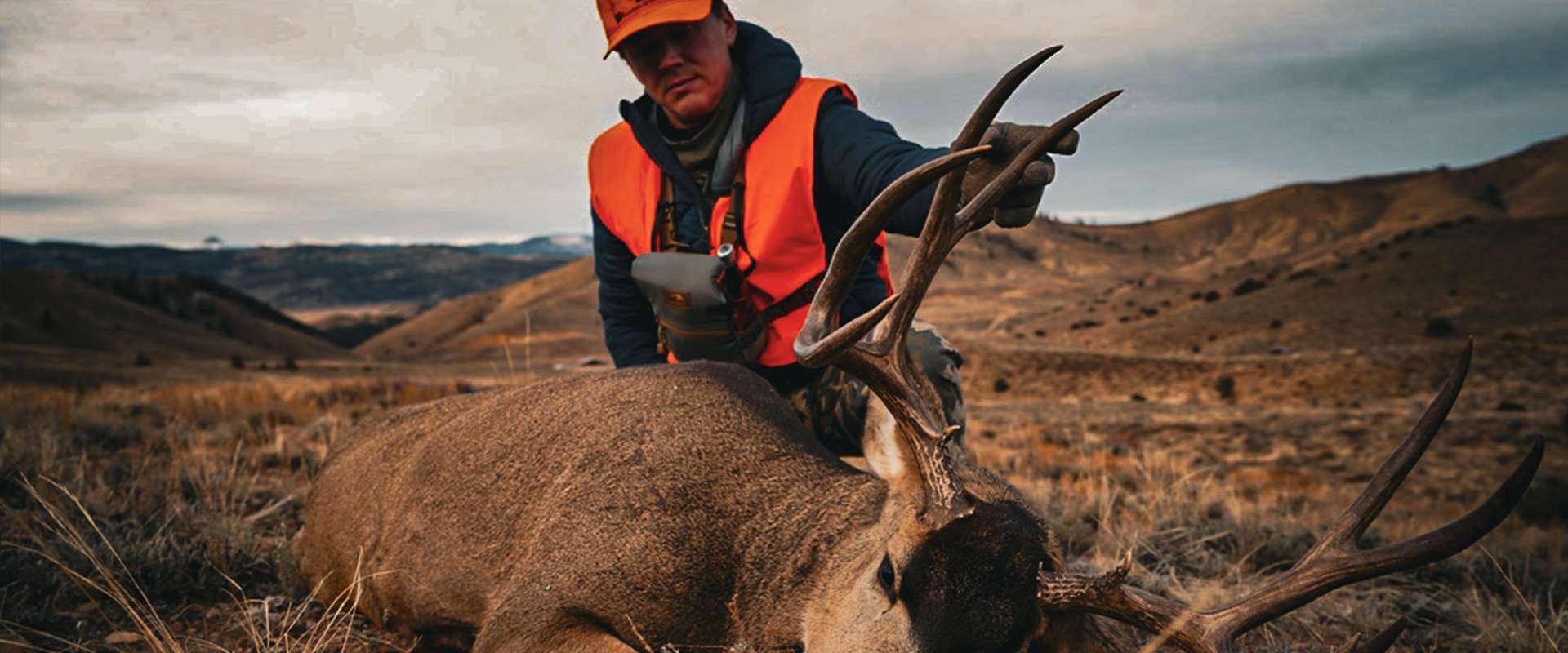 Colorado Guided Mule Deer Hunts