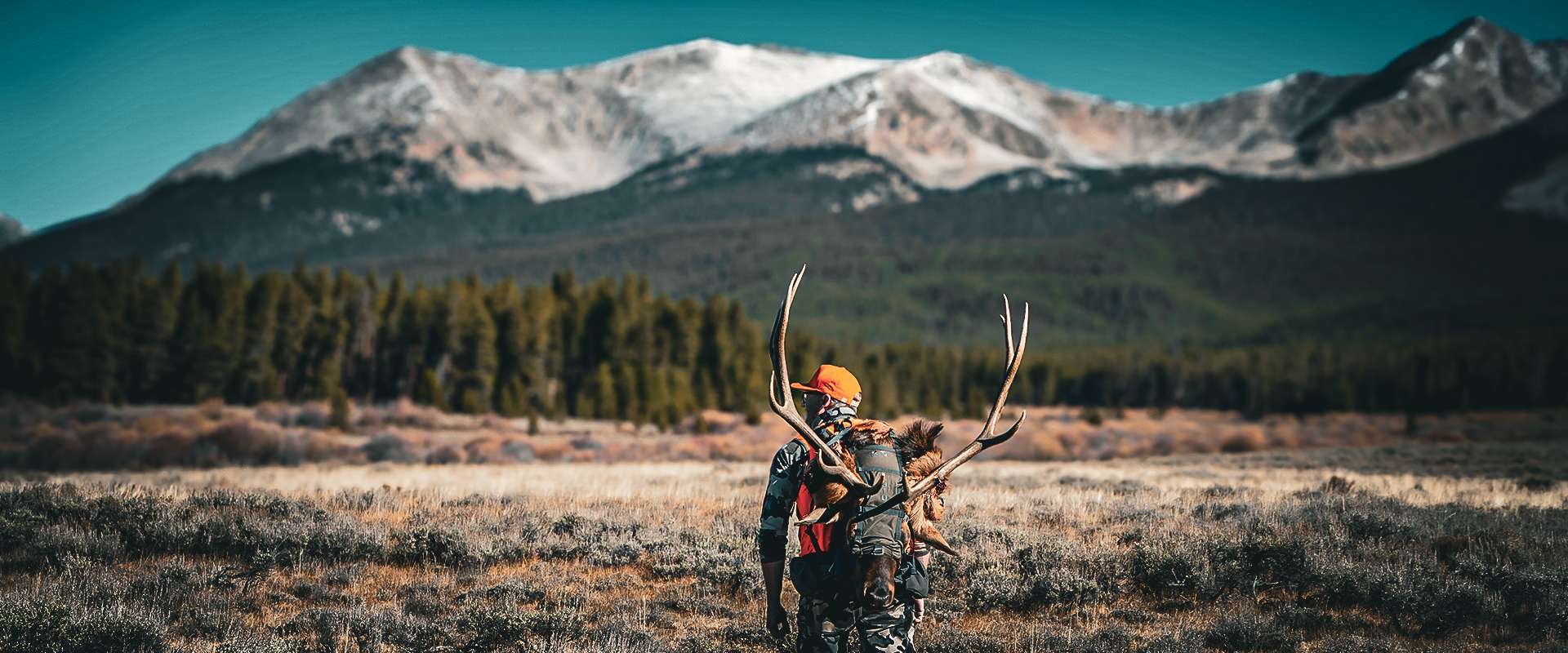 Colorado Rifle Elk Hunting Colorado Rifle Elk Hunting