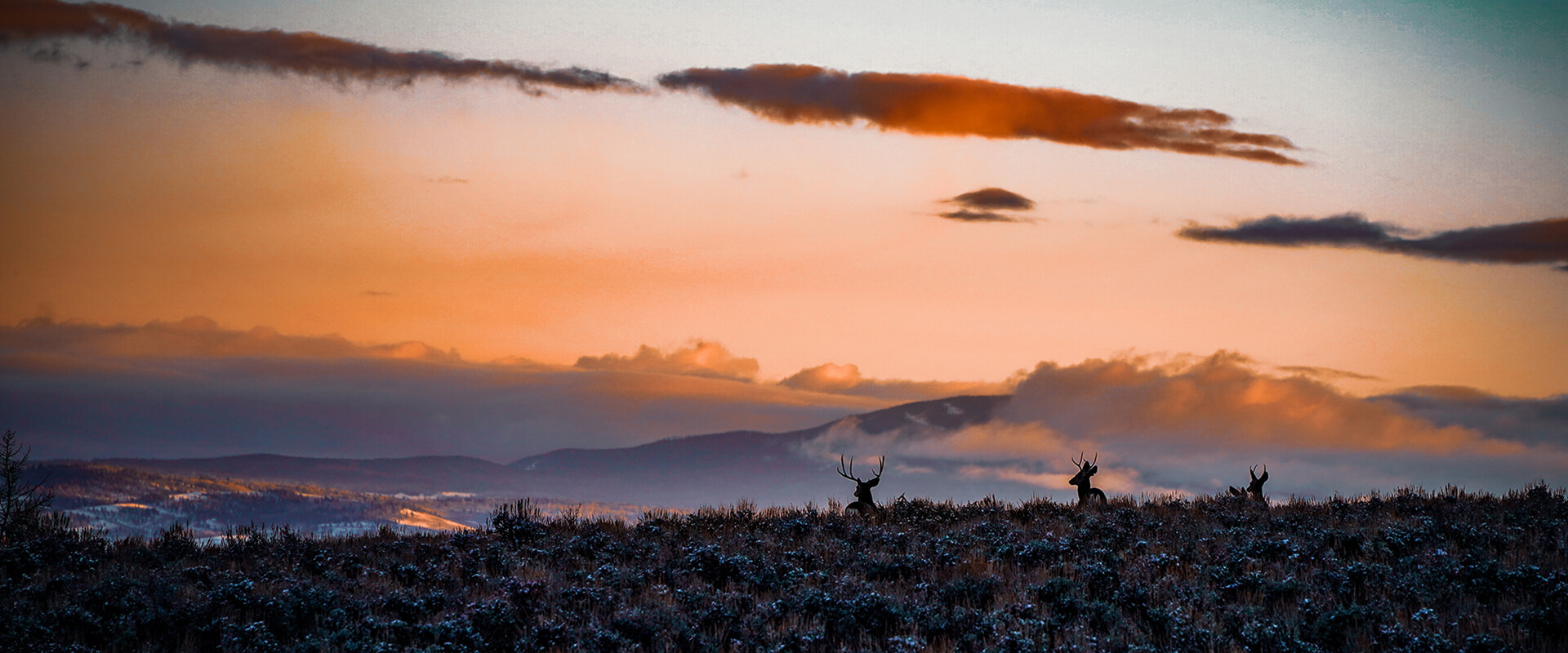 About AEI Guide and Outfitter About AEI Guide and Outfitter