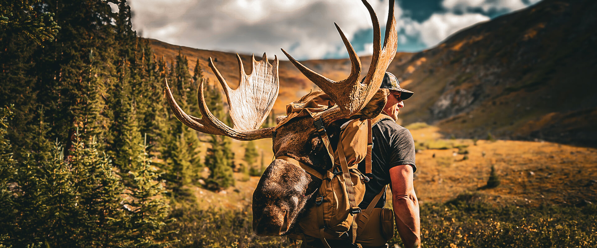 Colorado Guided Moose Hunts