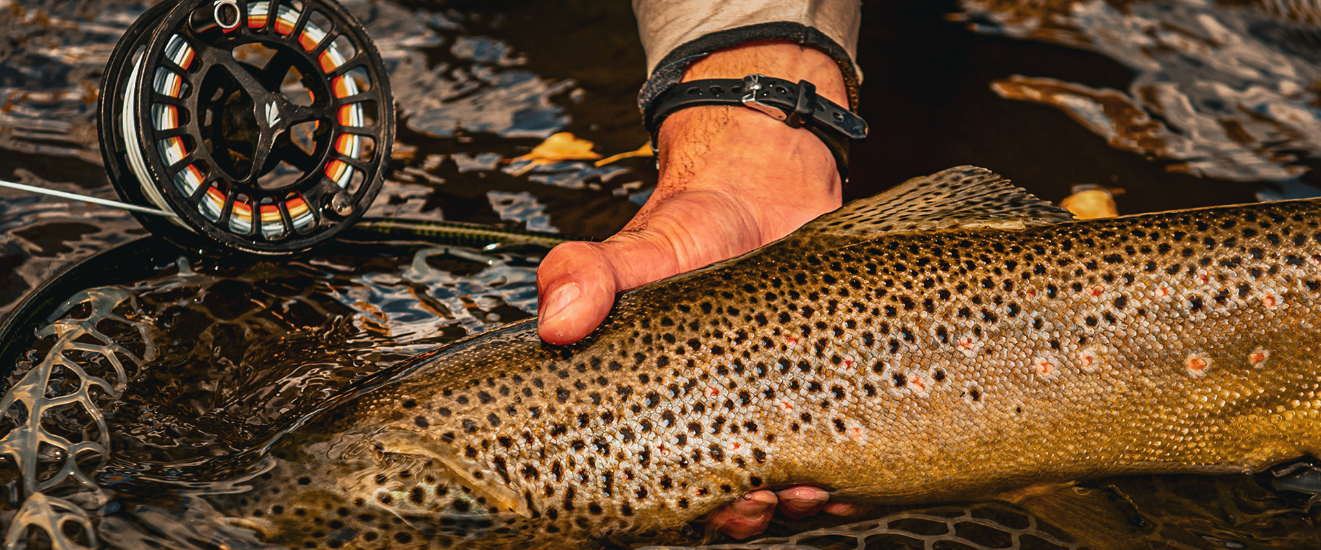 Gunnison Fly Fishing Gunnison Fly Fishing