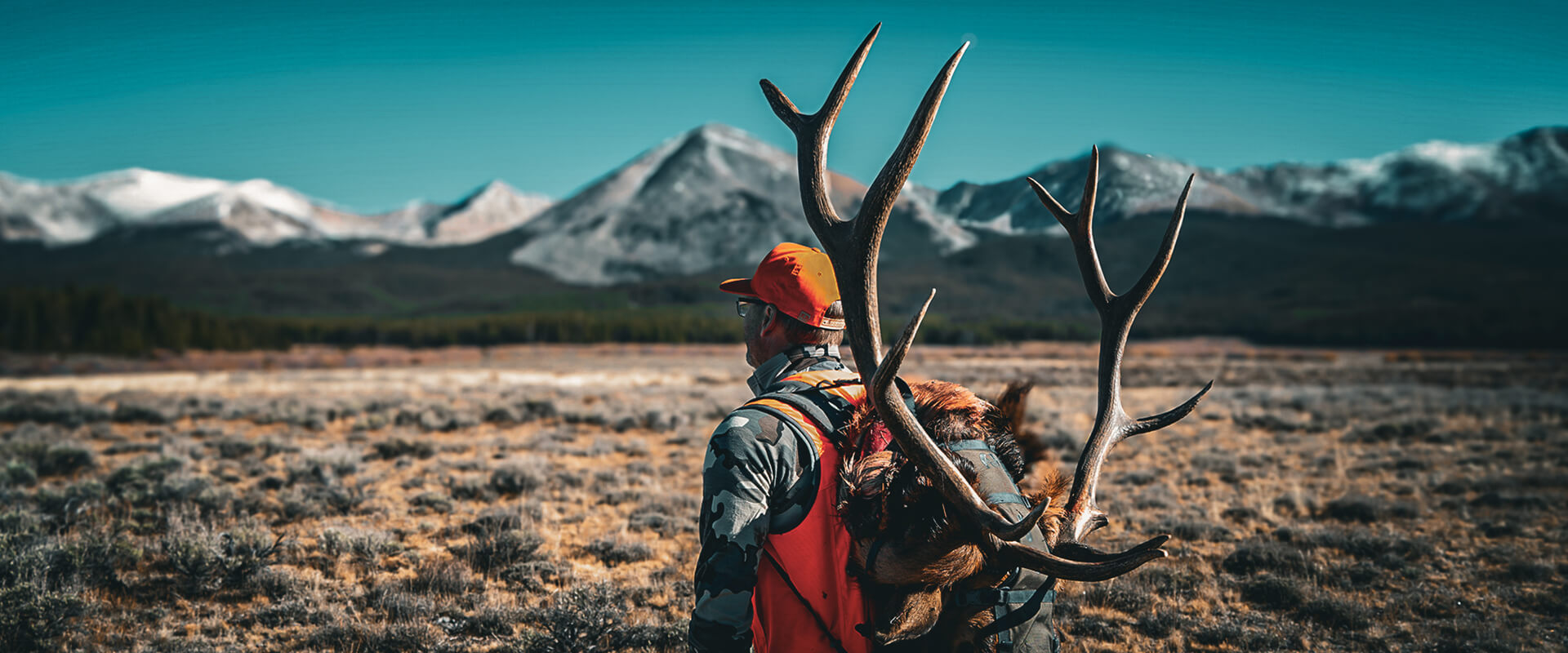 Colorado Outfitted Hunts Colorado Outfitted Hunts