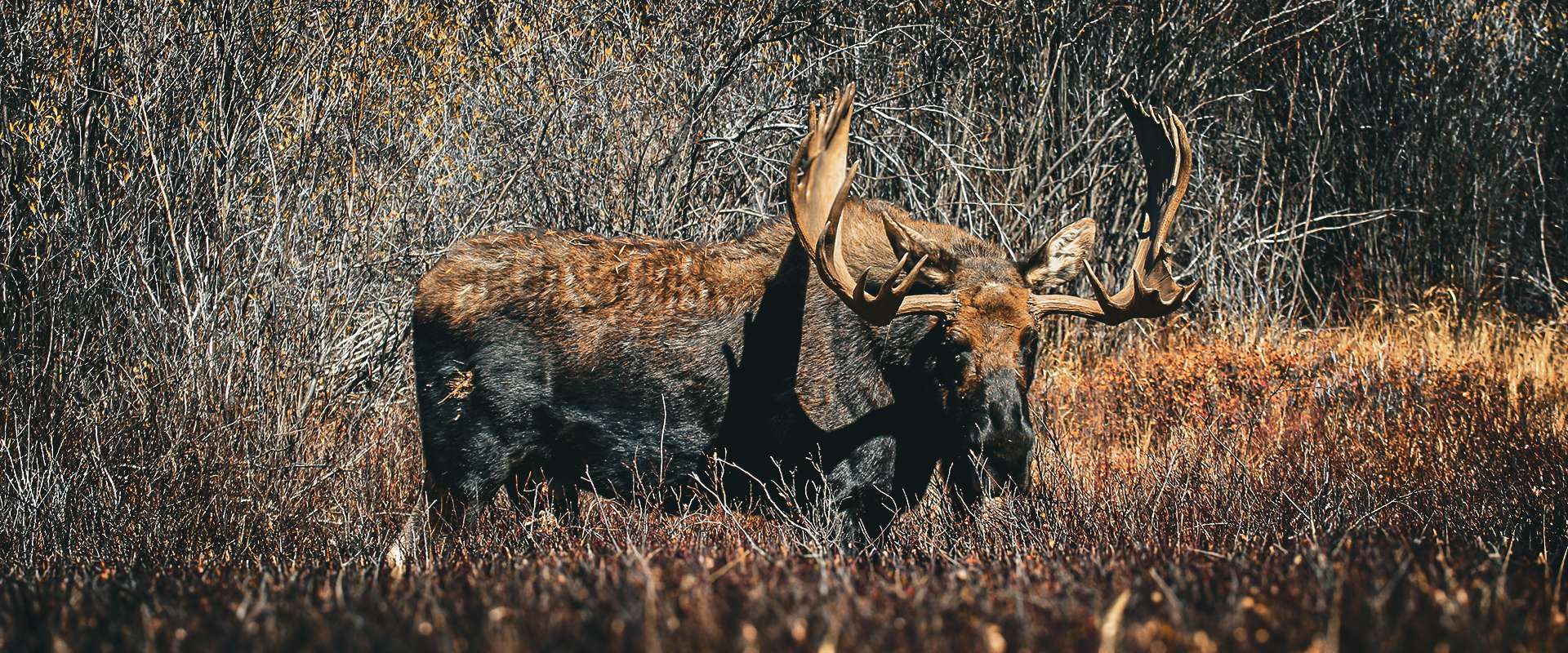 AEI Outfitter - Photo Gallery