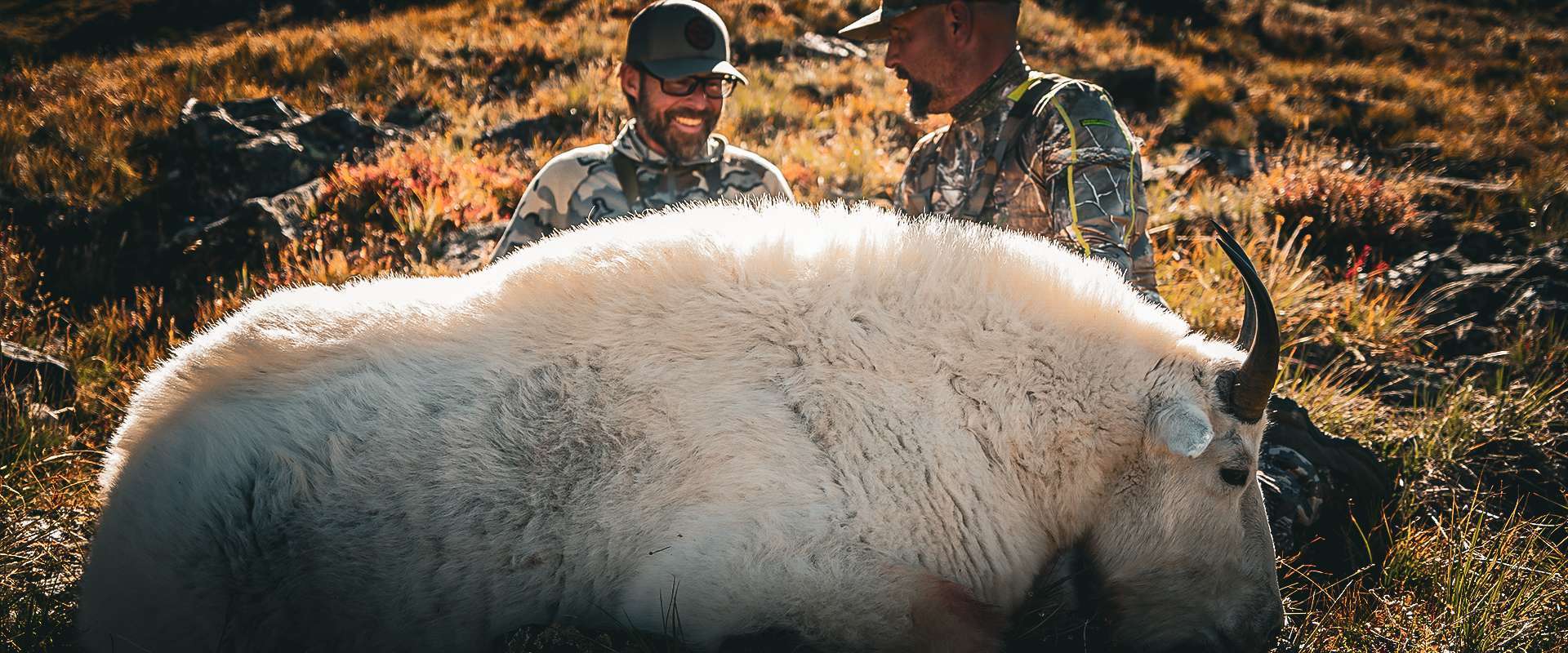 AEI Outfitter - Testimonials AEI Outfitter - Testimonials