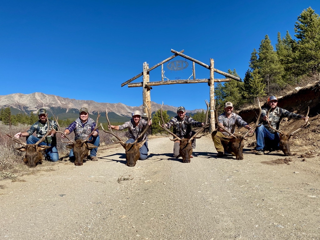 Colorado Elk Hunts