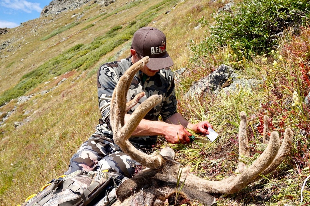 Guided Mule Deer Hunting Rates
