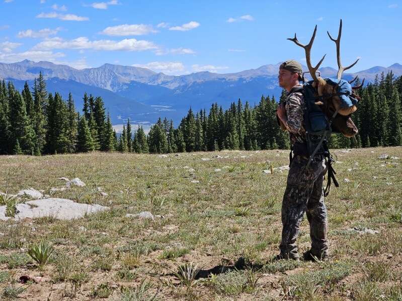 Archery Elk Photo