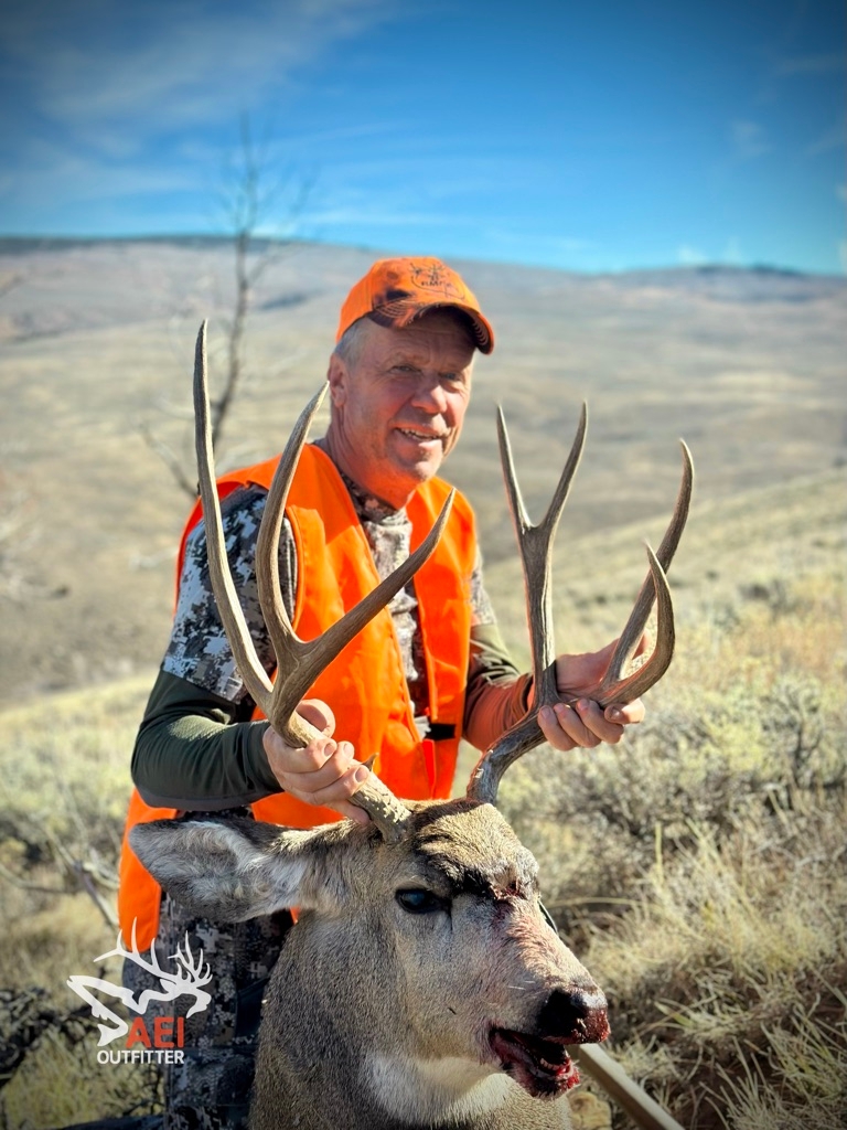 Mule Deer Photo