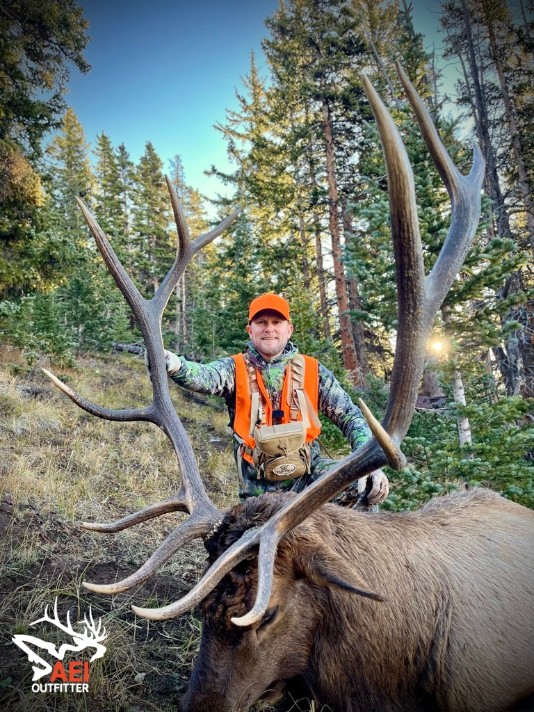 Rifle Elk Photo