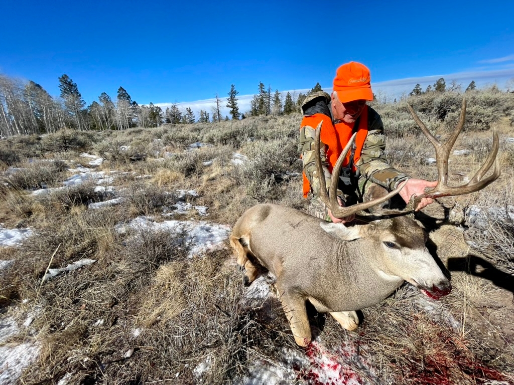 Colorado Mule Deer Hunts Colorado Mule Deer Hunting