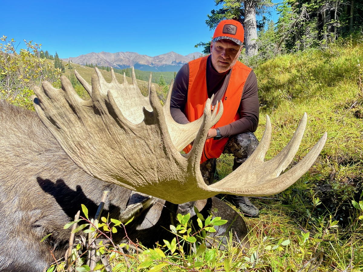 Colorado Moose Hunts Colorado Moose Hunts