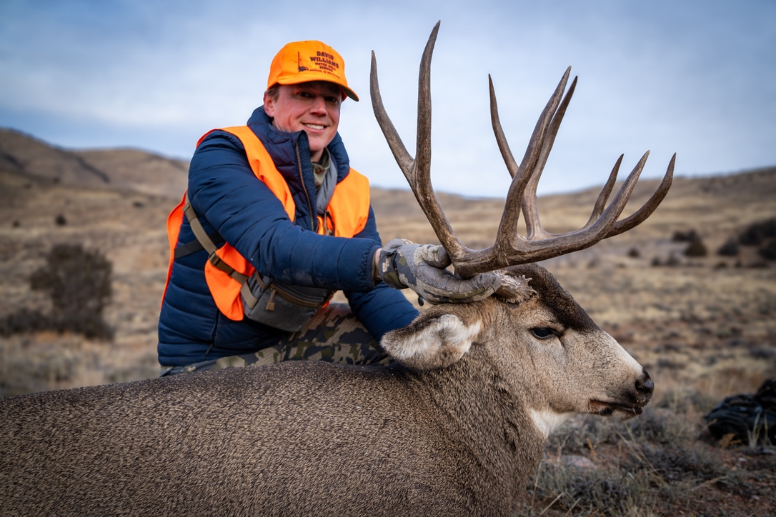 Colorado Mule Deer Hunting