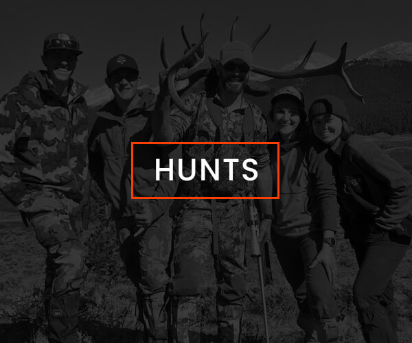 Hunts Hunts