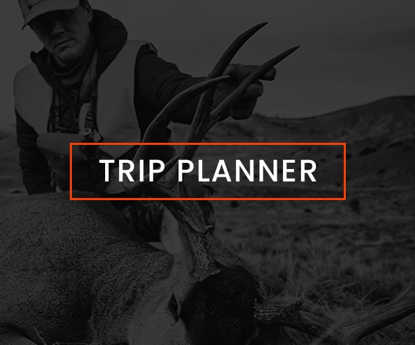 Trip Planner Trip Planner