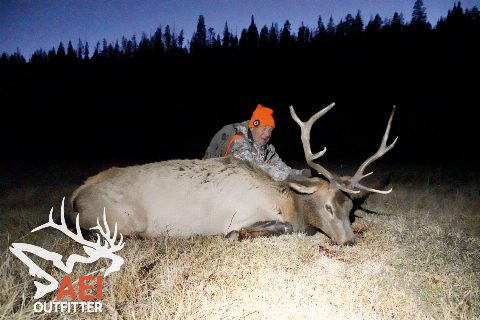Craig with his first bull elk!
