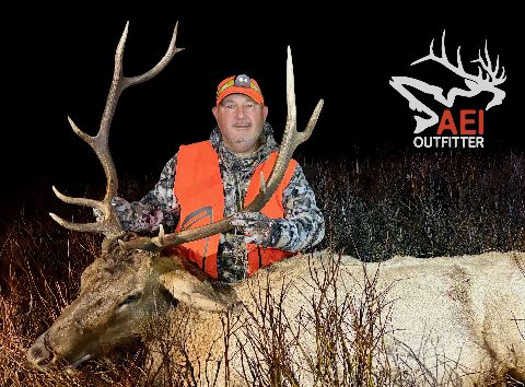 A great bull elk from 1st rifle season