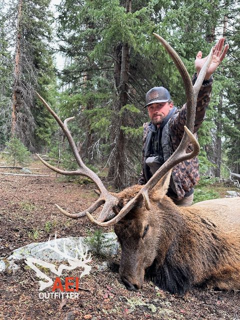 Unit 55 is a great unit for respectable Colorado bulls