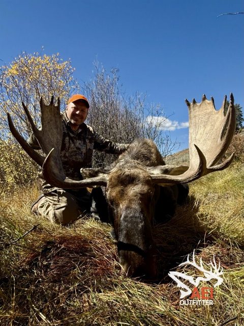 Mark's great Shiras bull moose with AEI Outfitter