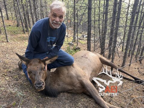 Caesar's big ol' muzzy cow will fill the freezer for a while!