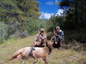 Archery Elk