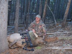 Archery Elk