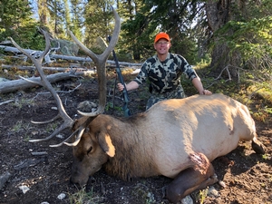 A great double for Kent, a big archery buck and this big bodies 5x5 bull elk