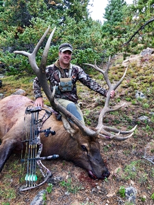 Colorado Archery Elk Hunting | Guided Archery Elk Hunts